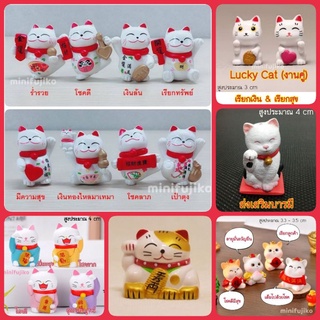 แมวกวัก โมเดลแมวกวัก แมวนำโชค แมวนำโชค โมเดลแมว แมวกวักญี่ปุ่น ค้าขาย ร่ำรวย lucky cat