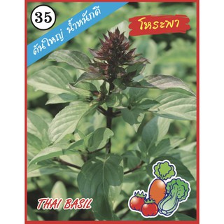 AAA 🇹🇭ผักซอง A035# โหระพา เมล็ดพันธุ์  เมล็ดพันธุ์ผัก เมล็ดพันธุ์ ผักสวนครัว ตราAAA สามเอ