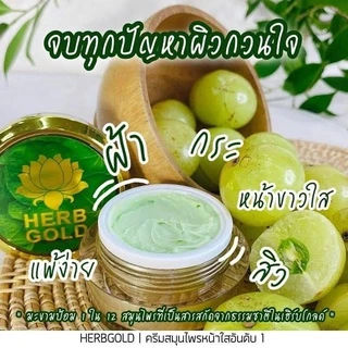 Herb Gold เฮิร์บ โกลด์ รีฟิล ครีมเดี่ยว สมุนไพรธรรมชาติบำรุงผิวหน้า ฟื้นฟู บำรุงผิว (1 กระปุก) herb refill มี 2 ขนาด
