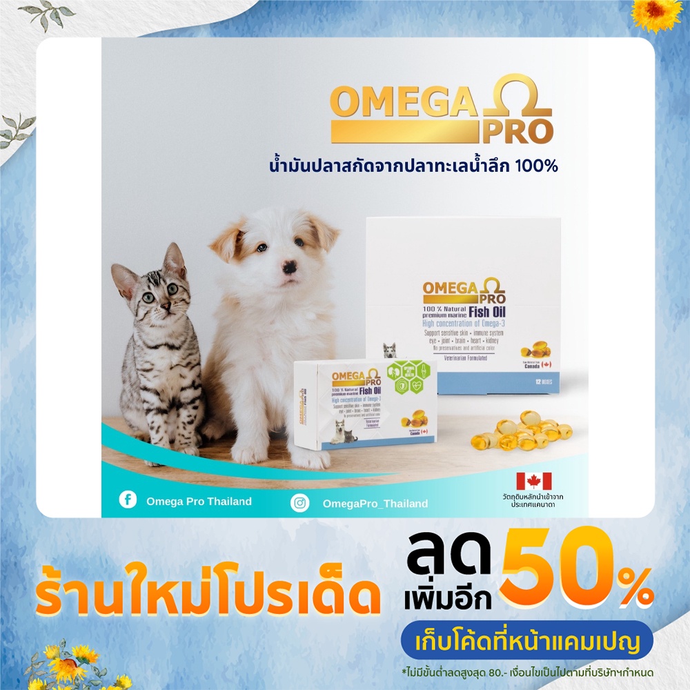 (ของแท้) Omega Pro โอเมก้า โปร อาหารเสริมน้ำมันปลาสำหรับสัตว์เลี้ยง แบบ ...