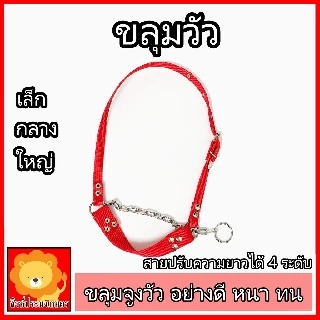 ขลุมวัว ขลุมจูงวัว เหม่าวัว อย่างหนา สแตนเลสอย่างดี เชือกสนตะพาย เม่า สายจูง ปรับความยาวได้