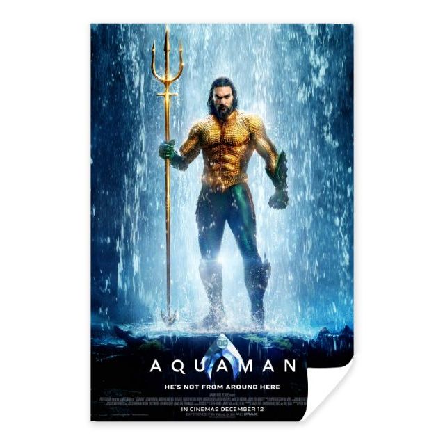 โปสเตอร์หนัง Aquaman | Shopee Thailand