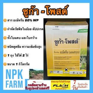 อะมีทรีน อามีทรีน ซูก้าโพสต์ 80 ขนาด 1 กิโลกรัม กำจัดหญ้าใบแคบและใบกว้าง ในไร่อ้อย ไร่สับปะรด ชนิดดูดซึม ความเข้มข้นสูง