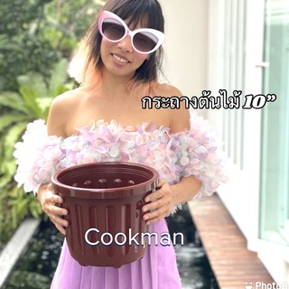 Cookman *มีโค้ดลด กระถาง10” ถูกที่สุด หนา เกรดA สีสวย กระถางต้นไม้ 10นิ้ว กระถางพลาสติก กระถาง ทรงโรมัน (ไม่มีจาน)