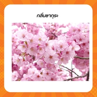 Icareไอแคร์ชุดทำน้ำยาล้างจาน ทำเอง สูตรประหยัดDIYทำได้ถึง15 กก.