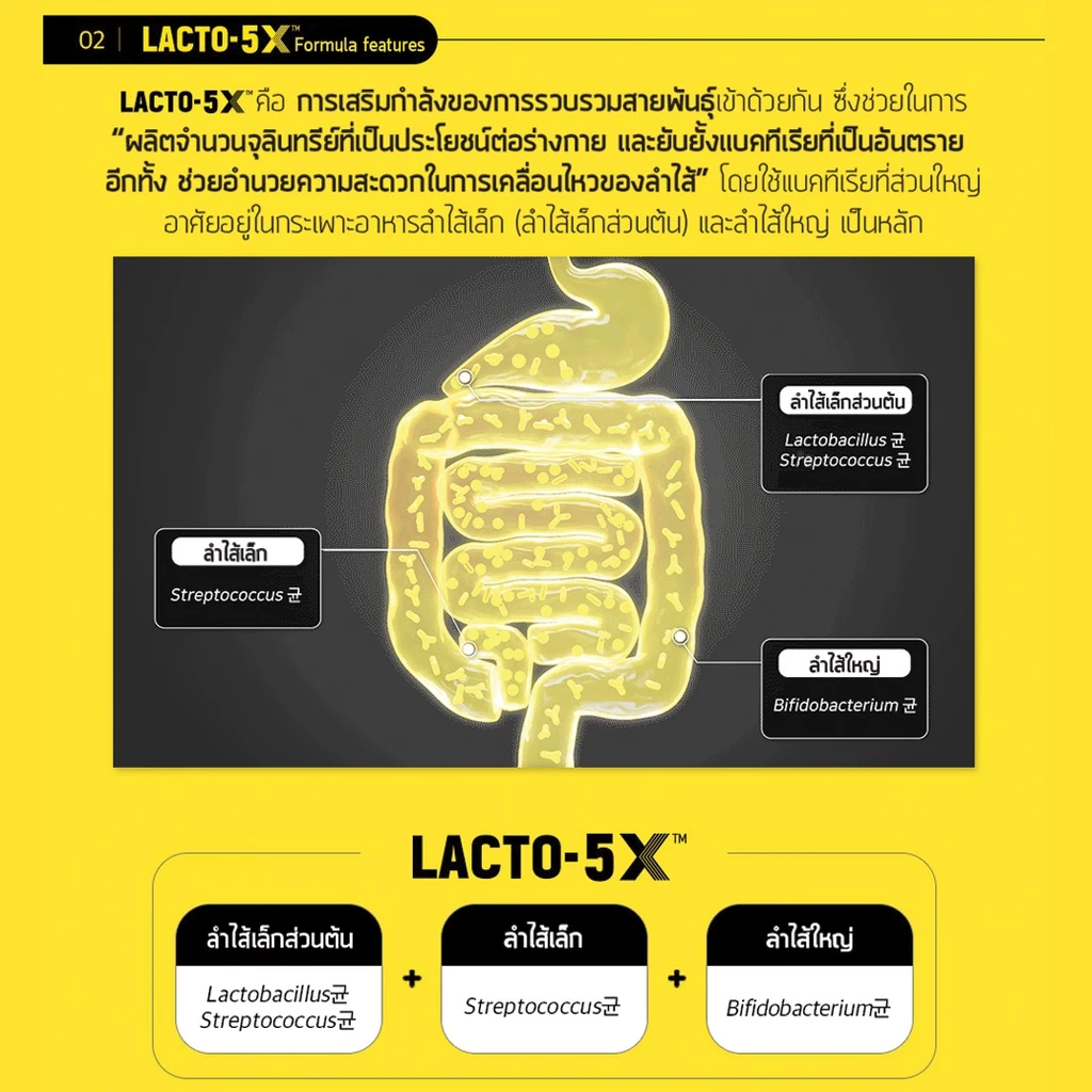 LACTOFIT LACTO-5X แลคโตฟิต โพรไบโอติกส์ ปรับสมดุลลำไส้  LACTO FIT GOLD (1 กระปุก 50 ซอง) thumbnail 8