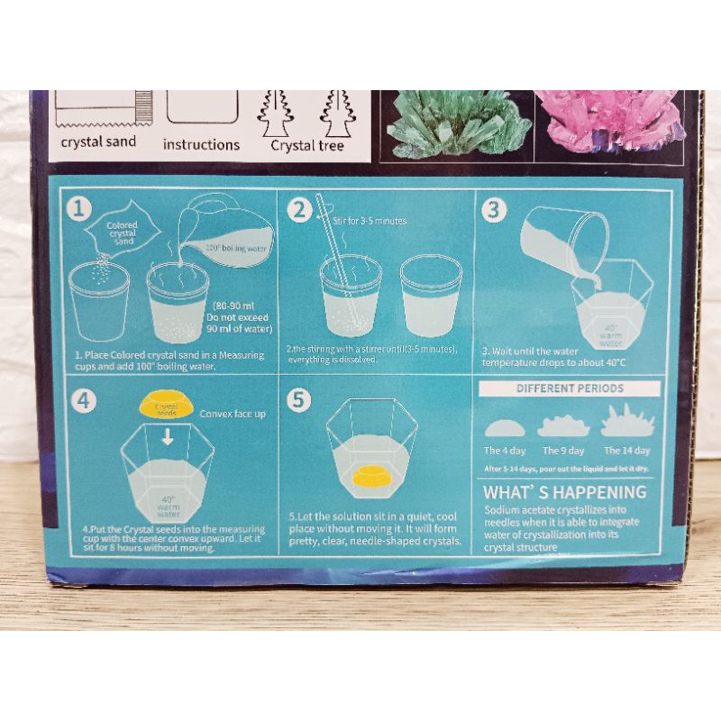 🏅Kids learning🏅DIY STEM Crystal Growing ของเล่นวิทยาศาสตร์ ทำคริสตัล ทำต้นไม้ ของเล่นแนวสาธิต