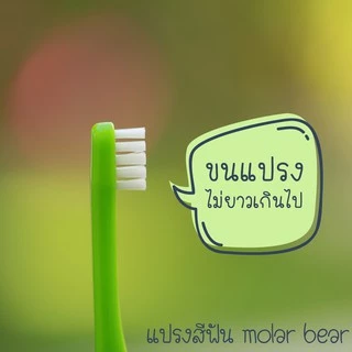 0-3 ขวบ+ Molar Bear แปรงสีฟันเด็ก ขนนุ่ม หัวแปรงขนาดเล็ก