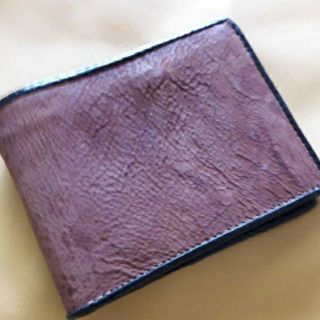 Shark  brown wallet หนังปลาฉลามแท้