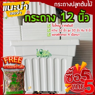 5แถม1ฟรี🔸กาบมะพร้าวสับ กระถางต้นไม้ 12” กระถางขาว กระถางปลูกต้นไม้ กระถางกุหลาบ กระถางปลูกบอน กระถางพลาสติก เนื้อดี