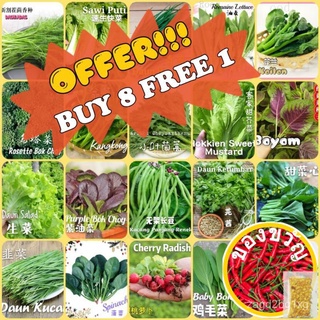 Benih Sayur pelbagai jenis Various Vegetable Seeds Ready Stock⚡Fast Shipping⚡ VVBTทานตะวัน/บ้านและสวน/สวน/เสื้อ/แม่และเด