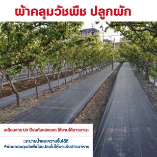 ผ้าคลุมหญ้า ขนาด 1×100 m (ชนิดผสมสารป้องกัน UV) ผ้าคลุมดิน ผ้าคลุมวัชพืช ผ้าคลุมดิน พลาสติกคลุมดิน ผ้าพลาสติกคลุมวัชพืช