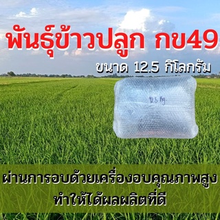 พันธุ์ข้าวปลูก กข49 เมล็ดพันธุ์ ข้าวปลูก กข49 เมล็ดพันธุ์ข้าว พันธุ์ข้าว กข.49 ให้ผลผลิตดี (12.5 กิโล)