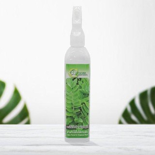 อะมิโนโปรตีน สำหรับไม้ใบไม้ประดับ Foggy300ml 1ขวด Green Garden