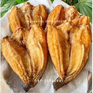 ปลาช่อนนา แดดเดียว ตัวเล็ก/ ตัวใหญ่ น่าทานมากจ้า