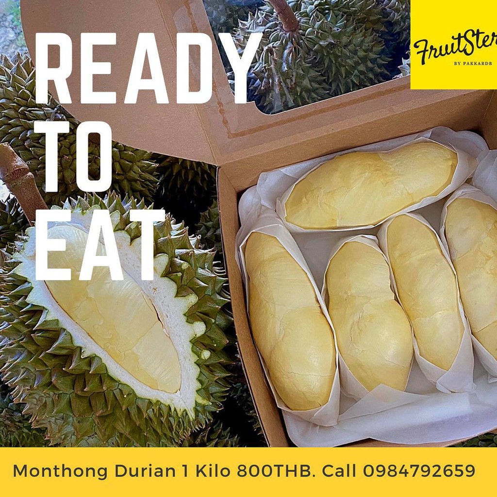 ทุเรียนหมอนทอง - Monthong Durian
