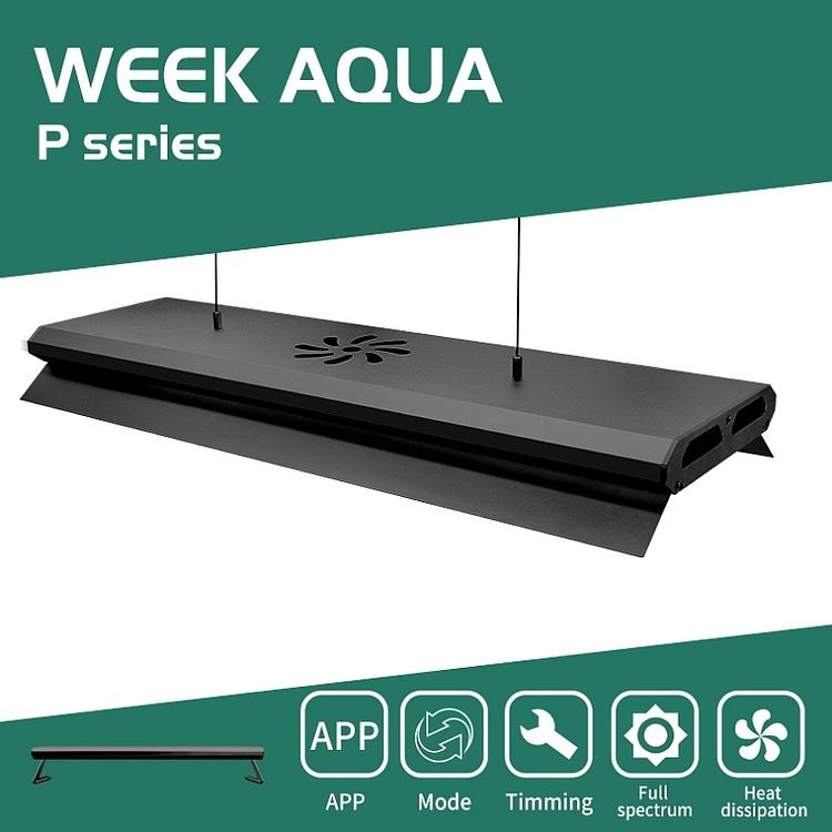 (พร้อมส่ง) WEEK AQUA P Series RGB LED ไฟตู้ไม้น้ำ ไฟเลี้ยงแคคตัส ไฟเลี้ยงปลาทอง ไฟเลี้ยงปลาอโรวาน่า 