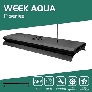 (พร้อมส่ง) WEEK AQUA P Series RGB LED ไฟตู้ไม้น้ำ ไฟเลี้ยงแคคตัส ไฟเลี้ยงปลาทอง ไฟเลี้ยงปลาอโรวาน่า ไฟเลี้ยงปลาทะเล