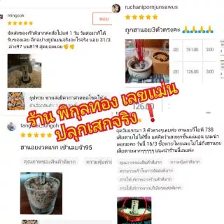 📌ธูปหวยไอ้ไข่ พารวย ขายส่ง🔥พญานาค/ธูปแดง ท้าวเวสสุวรรณวัดจุฬามณี/จีน/พ่อปู่/พระพิฆเนศ/วัดเจดีย์ธูปใบ้หวยธูปตัวเลข ธูปหวย