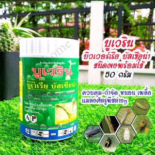 บูเวริน (บิวเวอร์เรีย บัสเซียน่า) 50กรัม ชีวภัณฑ์ปลอดสารเคมี 100% ควบคุม-กำจัด หนอน เพลี้ย แมลงศัตรูพืชต่างๆ