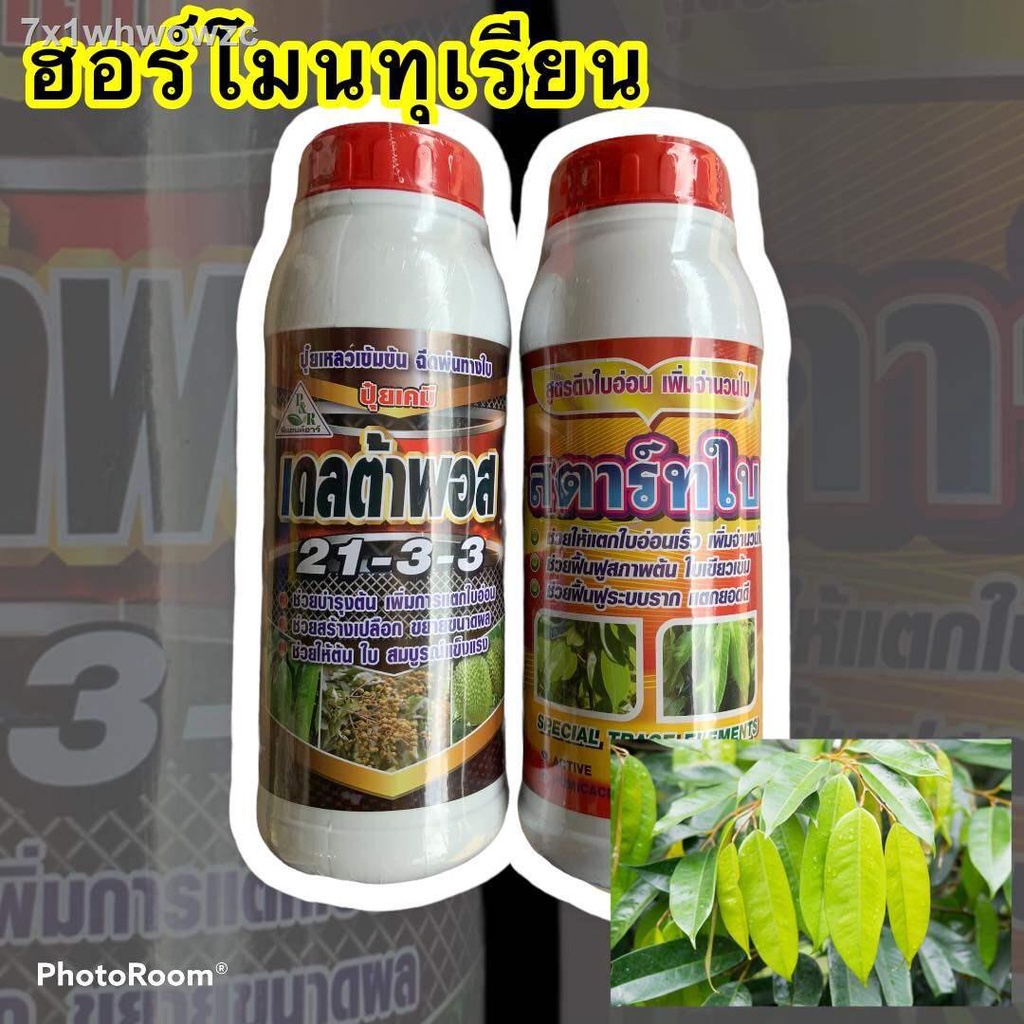 My Image 25