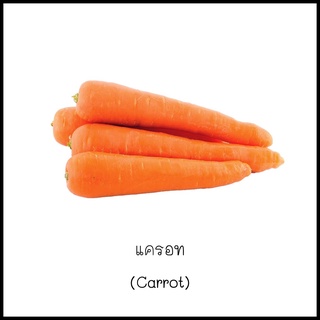 เมล็ดแครอท (Carrot) 100 เมล็ด [10 แถม 1 คละได้]