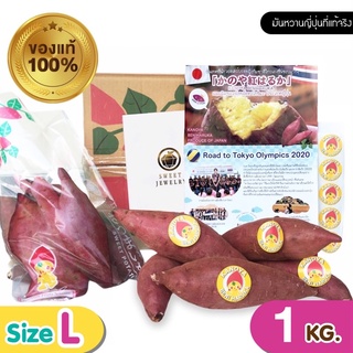 พร้อมส่ง.Lotใหม่ 🍠🇯🇵มันหวานญี่ปุ่น แท้ เบนิฮารุกะ Beni haruka 1 KG [พรีเมี่ยม] Logistics ทั่วไทย