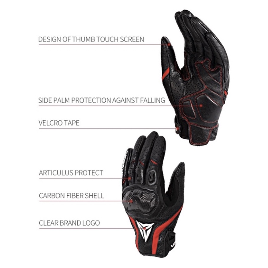 รูปภาพ 7