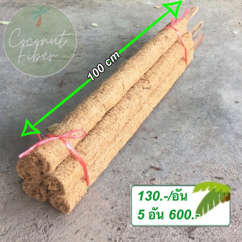 [พร้อมส่ง] ROD100 (ราคา/อัน)  เสาหลักไม้เลื้อย ทำจากไม้เนื้อแข็ง หุ้มใยมะพร้าว ขนาด 100 เซ็นติเมตร