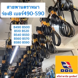 สายพานตราหมา ร่องB เบอร์490-590 / B490, B500, B510, B520, B540, B550, B560, B570, B580, B590