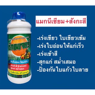 ซิกเนเจอร์ (แมกนีเซียม+สังกะสี)เร่งเขียว เข้าสี 1 ลิตร