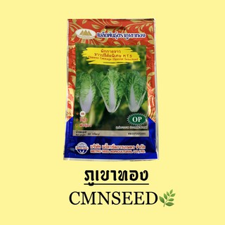 เมล็ดพันธุ์ ผักกาดขาวพันธุ์เบา  M.T. 5 ซอง