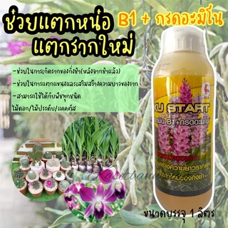 🌱KUSTART วิตามินB1+กรดอะมิโน รากแตกใหม่ แตกหน่อใหม่ เร่งออกรากใหม่ ฮอร์โมนแคตตัส