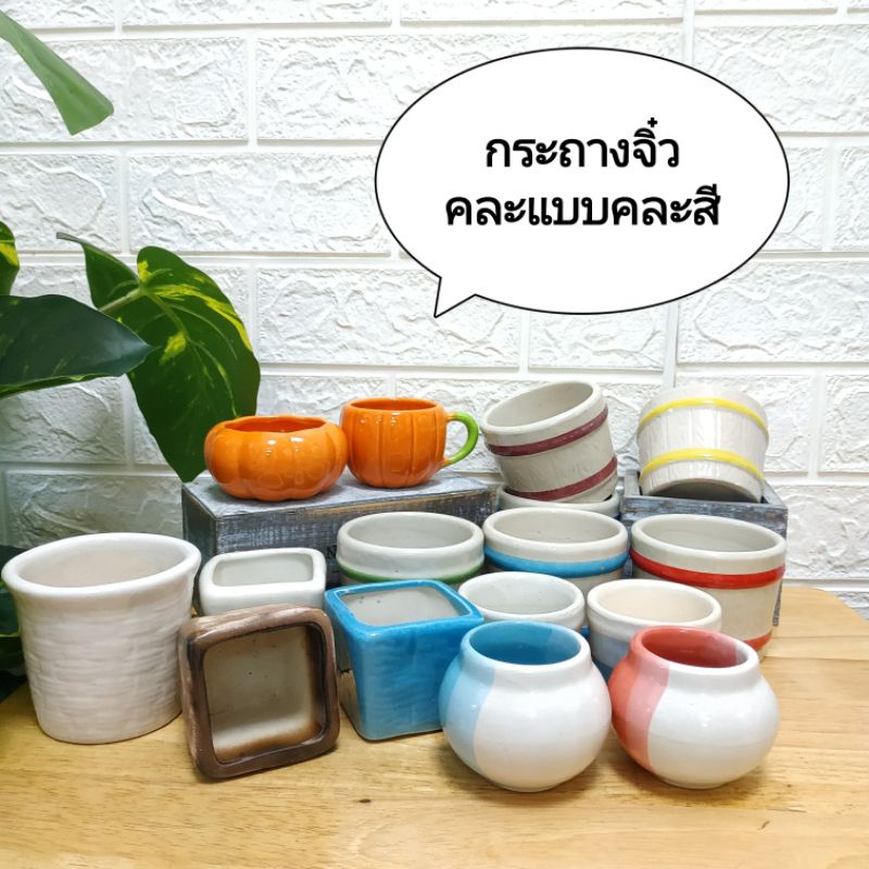 (พร้อมส่ง)กระถางต้นไม้เล็กจิ๋วคละสี เซรามิกคละแบบไม่มีรู ส่งเร็ว