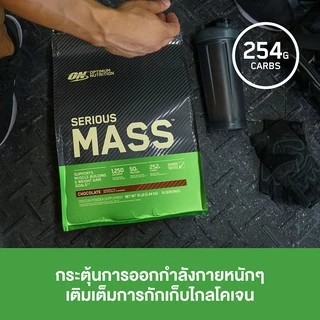Optimum Nutrition Serious Mass Protein 6 Lbs