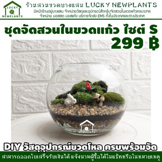 ชุดจัดสวนขวด DIY 299฿ สวนมอสธรรมชาติ ไซต์ S