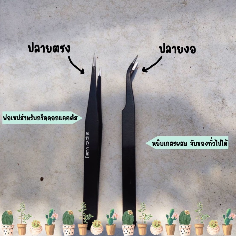 Forcep ปากคีบ ฟอเซป ปลูกแคคตัส ผสมเกสร คีบต้นอ่อน ปลายแหลม