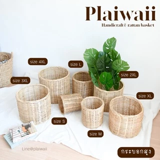 พร้อมส่ง ✅ ตะกร้าหวายทรงกระบอกสูง ตะกร้าใส่ต้นไม้
