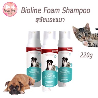 แชมพูอาบน้ำหมา โฟมอาบน้ำหมา แชทพูอาบน้ำแห้ง 220g. Bioline Foam Shampoo สำหรับสุนัขและแมว