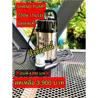 SHANO PUMP ปั๊มโซล่าเซลล์บัสเลสแท้ 750wท่อน้ำ 2 นิ้ว