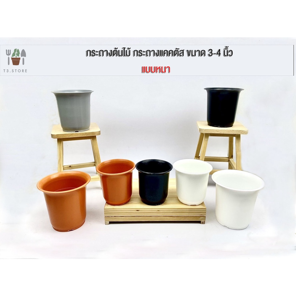 กระถางแคคตัส กระถางกระบองเพชร กระถางต้นไม้ ทำมาจากพลาสติก PP (พลาสติกหนา) ขนาด 3-4 นิ้ว ส่งของทุกวัน