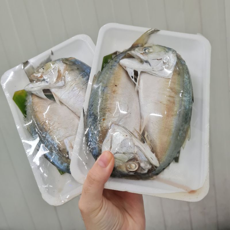 ปลาทูนึ่ง​2-3ตัว(แพ็ค) ตัว​ใหญ่ไซส์​(16-18ซม)