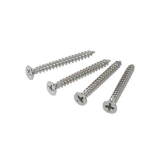 อุปกรณ์ยึดติด สกรูชิพบอร์ด F PANSIAM 7X1-1/4" 25 ตัว Screws, Nuts &amp; Washers