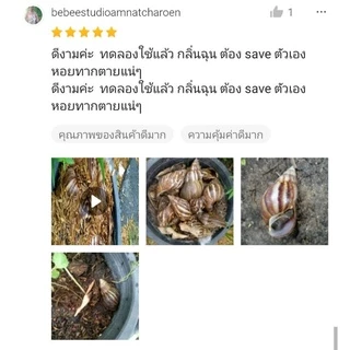 เหยื่อกำจัดหอย ขนาด 300 กรัม สารกำจัดหอยทาก ยาฆ่าหอยทาก ยาฆ่าหอย สารกำจัดหอย ฆ่าหอย ยากำจัดหอยทาก