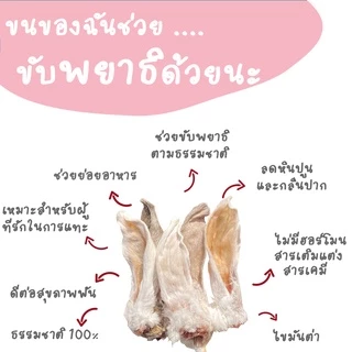 หูกระต่ายอบแห้ง (ขนาดทดลอง1 ชิ้น) ขนมหมาสุดฮิต umm (สำหรับสุนัขและแมว)