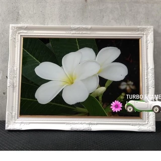 กรอบรูปหลุยส์สีทอง สีขาว ขนาดภาพ 15x21", 16x20”, 16x24”, 20x24”, 20x30” พร้อมกระจกใส +สริงแขวนผนัง