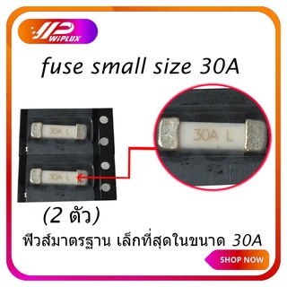 WiPLUX BEL fuse small size 30A (2ตัว ) ฟิวส์มาตรฐาน เล็กที่สุดในขนาด 30A (smart PDU plug power strip สมาร์ท ปลั๊ก)