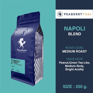 Pacamara Napoli Blend 250g เมล็ดกาแฟไทย อาราบิก้า 100% คั่วกลาง ขนาดบรรจุ 250 กรัม