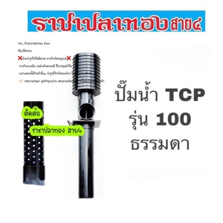 ปั๊มน้ำ TCP รุ่น 100 ธรรมดา