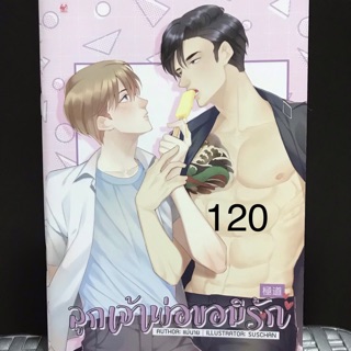 มินิโนเวล ลูกเจ้าพ่อขอมีรัก